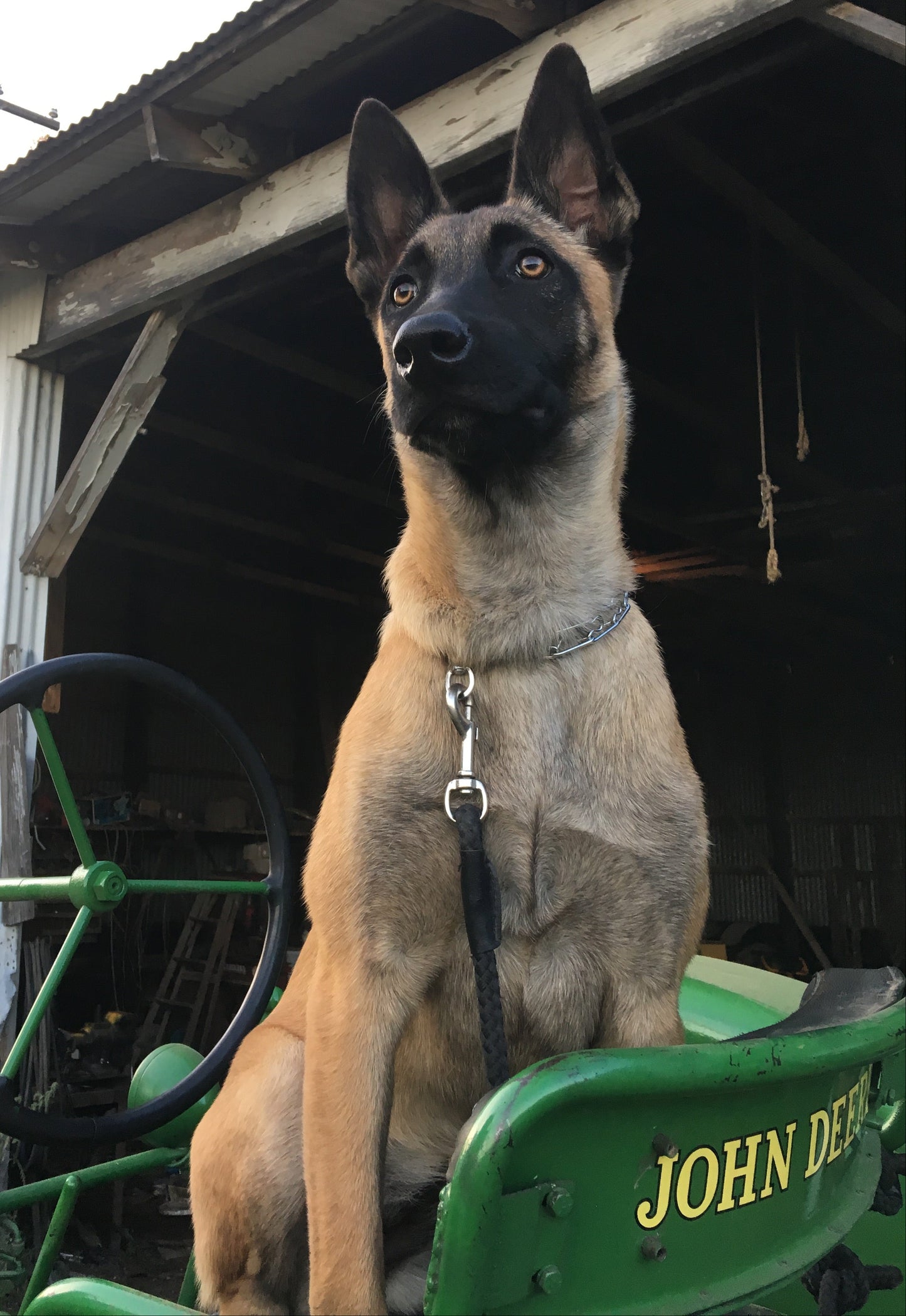 I'll Go With You To Shoot A Match Gift